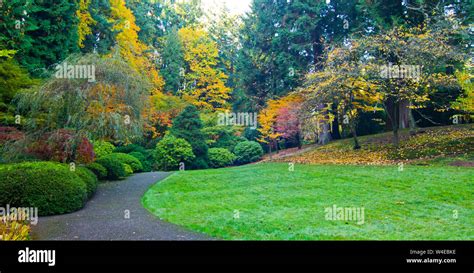 Beautiful Japanese Garden in Fall in Portland Oregon, USA Stock Photo ...