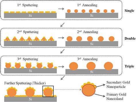 Schematic fabrication process of SERS substrates. | Download Scientific Diagram