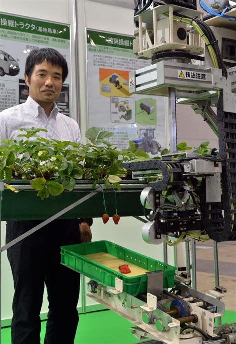 Strawberry Harvesting Robot