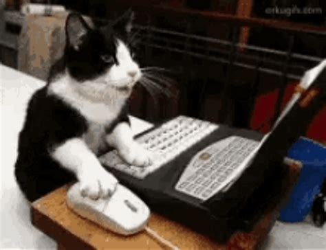 Typing Cat Gifs Wifflegif - vrogue.co