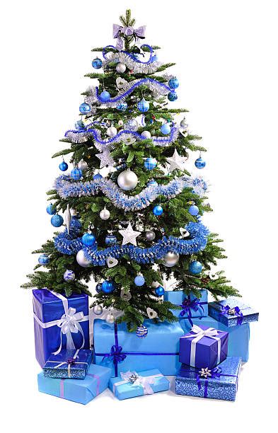 Best Blue Christmas Tree Stock Photos, Pictures & Royalty-Free Images ...