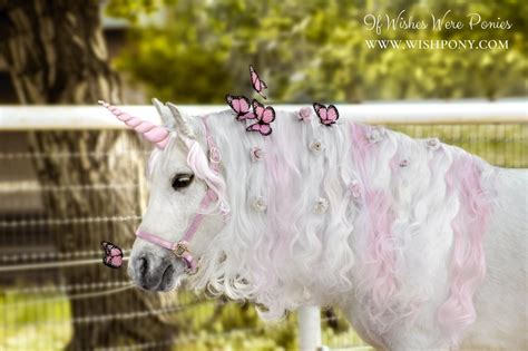 Pink & Gold Unicorn Horn for Miniature Horse Pony Horse Draft