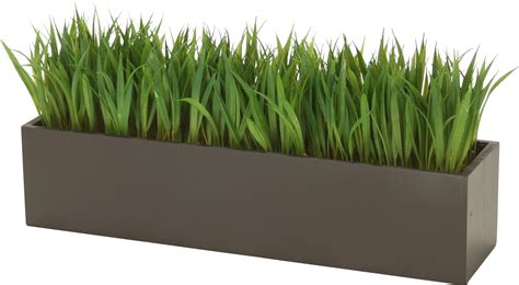 Distinctive Designs Grass in Rectangular Wood Planter & Reviews | Wayfair