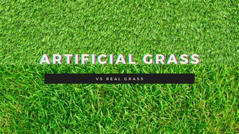 Artificial Grass vs Real Grass - 10 Critical Differences to Keep in Mind