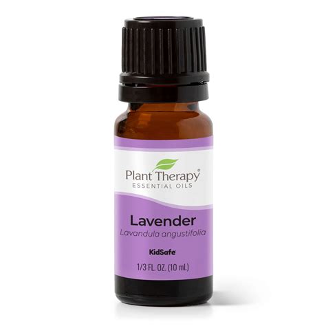 Lavender Essential Oil | High-Quality Lavender Essential Oils | Plant ...