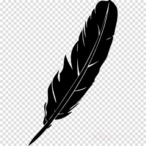 Feather clipart sticker, Feather sticker Transparent FREE for download ...