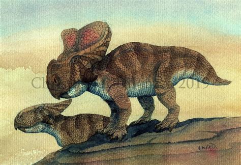 Prehistoric Beast of the Week: Protoceratops: Beast of the Week