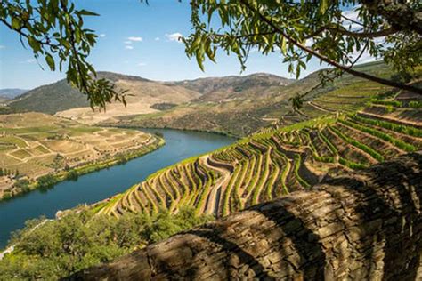 Douro Valley Wine Tours | Grape Escapes