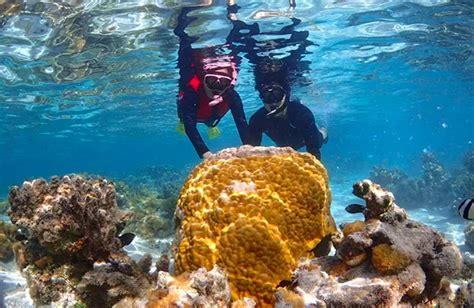 Saipan's Underwater Jewel: A Diver's Dream Come True