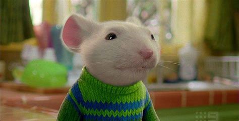 Image result for rat characters | Stuart little, Top 10 films, City rats