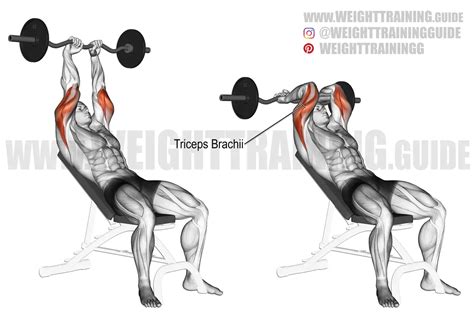 Incline EZ bar triceps extension exercise instructions and video