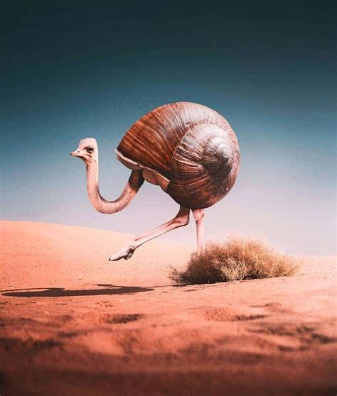 Surreal Photo Mash-Ups Blend Animals with Unexpected Objects