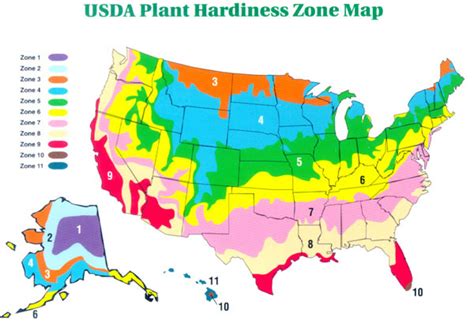 what is my plant zone – Tjs Garden