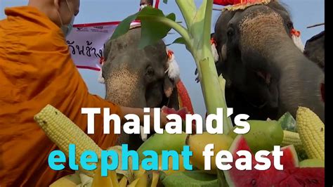 Watch Thailand's elephants feast during their annual Elephant Day - CGTN