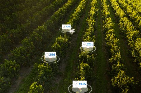 South African startup Aerobotics raises $17M to scale its AI-for-agriculture platform | TechCrunch