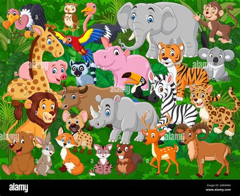 Cartoon wild animals collection set Stock Vector Image & Art - Alamy