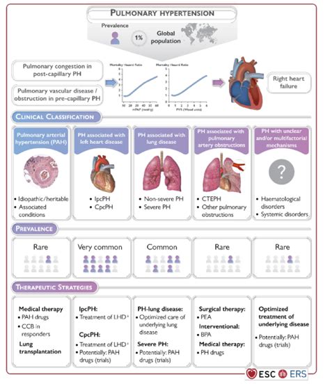 About PH – PULMONARY HYPERTENSION