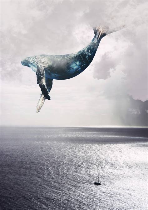 Flying Whale - Limited Edition Photography by Marlies Plank | Saatchi Art