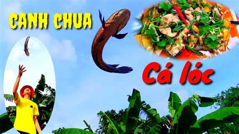 Món Ăn Gia Truyền Canh Chua Cá Lóc | Huy Cong TV - YouTube