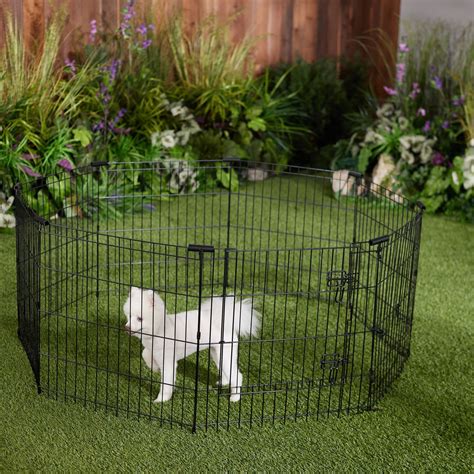 Frisco Dog Exercise Pen with Step-Through Door, Black, 24-in - Chewy.com