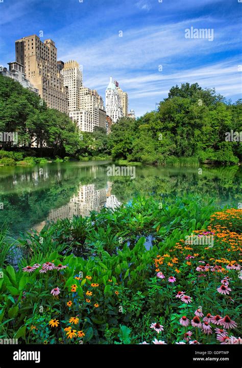 Central park hi-res stock photography and images - Alamy