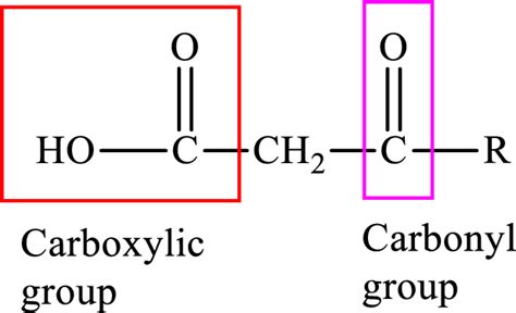 What are the two α -keto acids that are most often reactants in transamination reactions? | bartleby