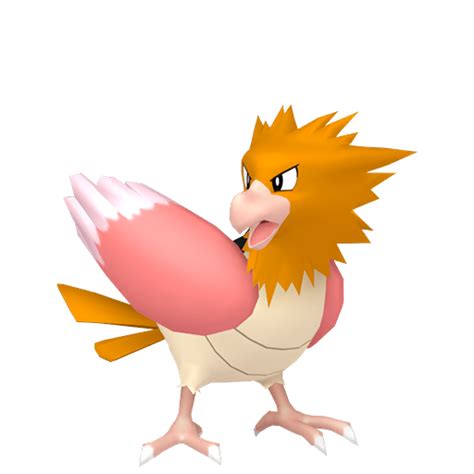 Spearow (Pokémon GO) - Best Moveset, Weakness, Counters, Shiny