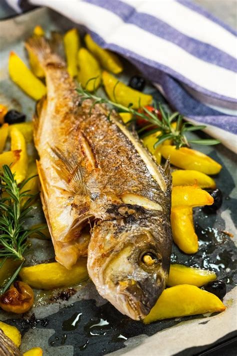 Grilled gilt-head bream stock photo. Image of healthy - 110979852