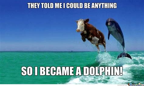 Cow Became A Dolphin | Funny dolphin, Dolphin memes, Dolphins