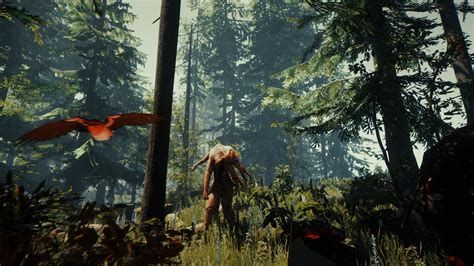 The Forest (PS4 / PlayStation 4) Game Profile | News, Reviews, Videos & Screenshots