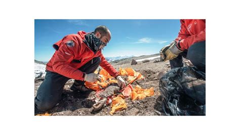 Recuperaron el brazo de Janet Johnson, muerta en el cerro Aconcagua en 1973