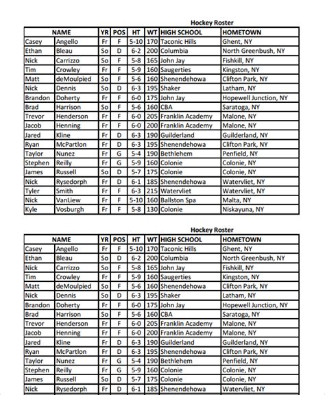 FREE 7+ Sample Hockey Roster Templates in MS Word | PDF