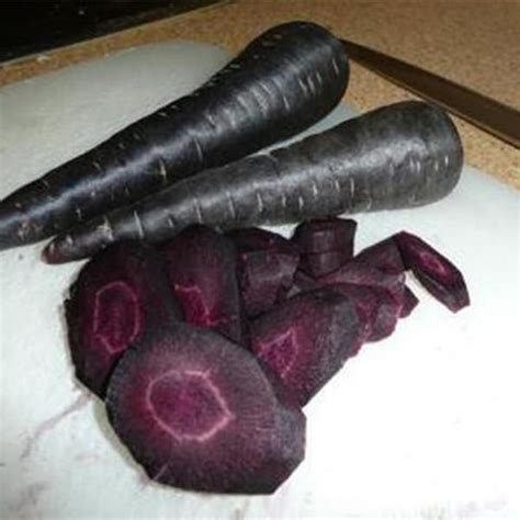 Black Carrot Seeds – McKinley Seeds