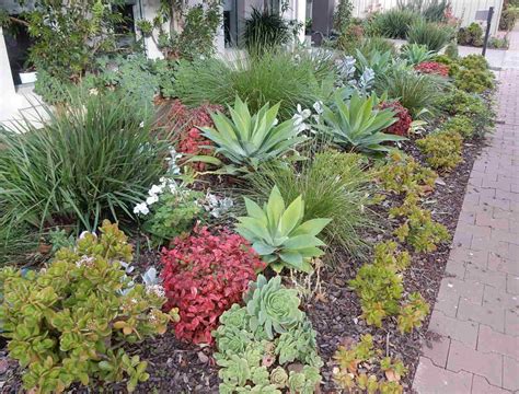 7 Drought-Tolerant Landscaping Ideas