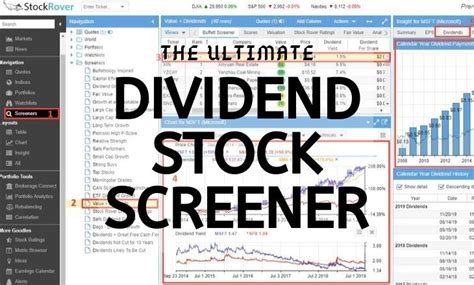 6 Steps to Build Your Dividend Stock Screener & Strategy | Stock screener, Dividend stocks, Dividend