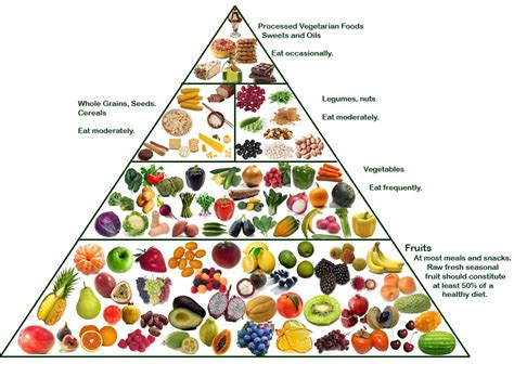 vegetarian pyramid | going vegetarian is a good natural way to lose ...