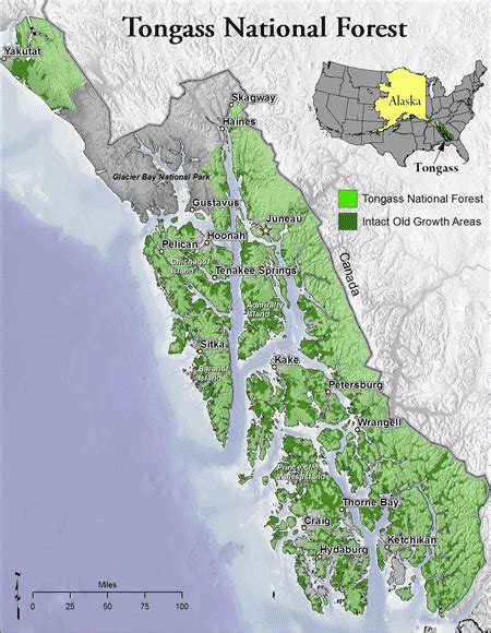 Watching the Sun Bake: Ketchikan - Land of the Totems