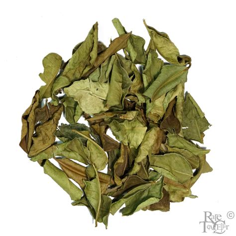 California Kaffir Lime Leaves (Air Dried) | Rare Tea Cellar