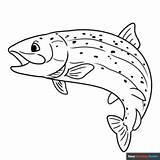 Rainbow Trout Coloring Page  Easy Drawing Guides sketch template
