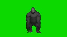 Dancing Gorilla 144p Green Screen GIF - Dancing gorilla 144p green screen - Discover & Share GIFs