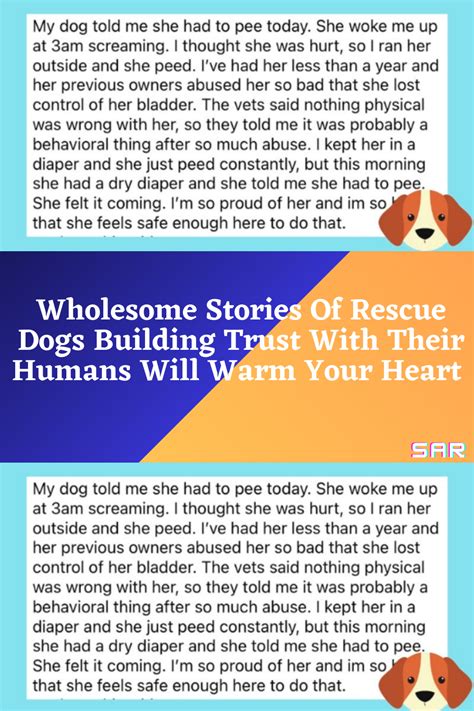 Wholesome stories of rescue dogs building trust with their humans will ...