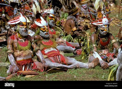 Papua New Guinea, Western Highlands Province, Mt. Hagen Cultural Show Stock Photo: 3007604 - Alamy