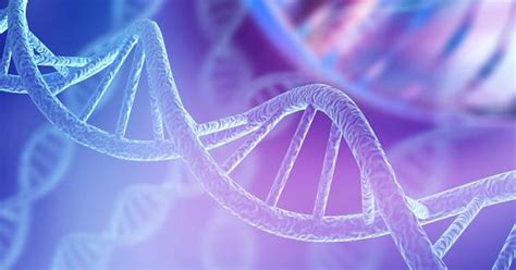 What is DNA?: MedlinePlus Genetics