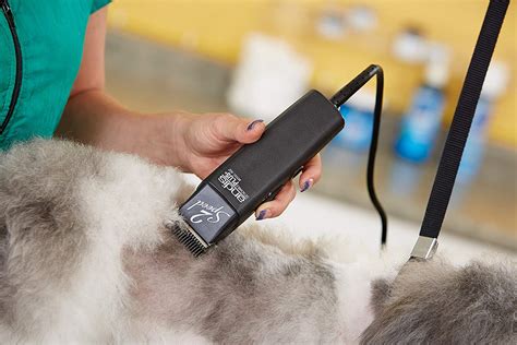 Best Professional Grooming Clippers You Should Use For Your Dog