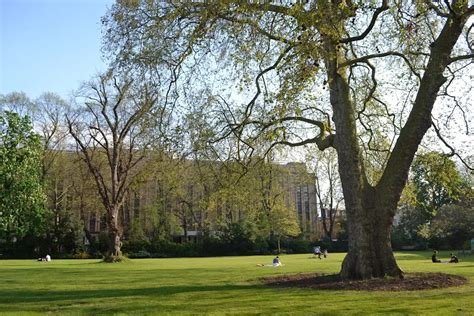 Royal Crescent Gardens - Opening Times, Contacts - Park in London