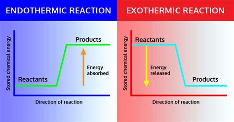 Endothermic And Exothermic Reaction Examples