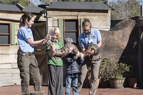 IN PHOTOS: Birmingham Zoo Creates New Groundhog Day Tradition - Over ...