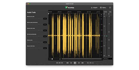 Noise Cancelation Software: 8 Removal Tools - CrumplePop