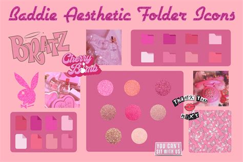 Baddie Aesthetic Folder Icons - Pinky Desktop Folder Icons for Mac