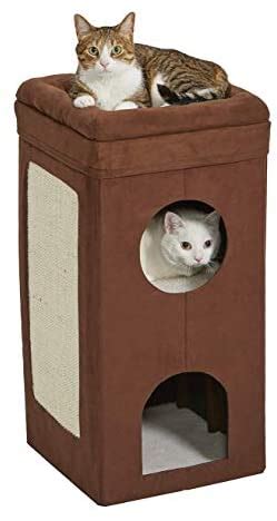 10 Best Cat Beds For Large Cats – 2021